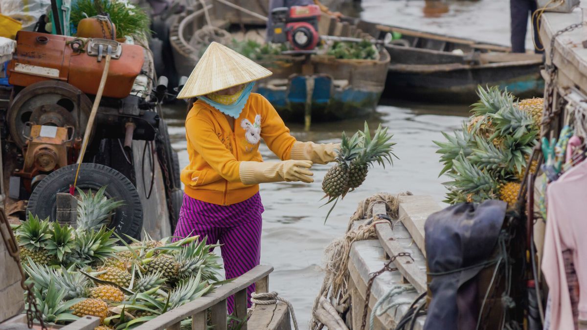Transport Fruits To The Floating Market