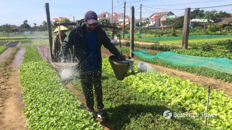Day 9 Try Working As A Farmer In Cam Thanh Village