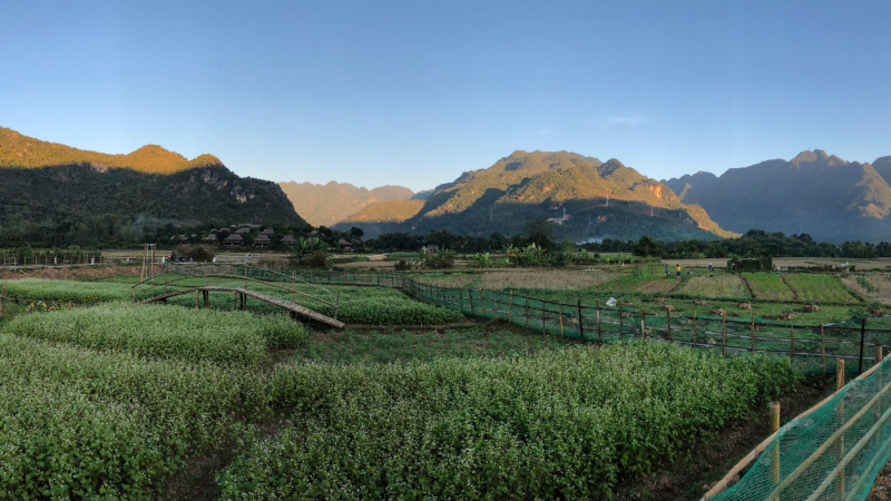 Day 3 The Stunning View Of Mai Chau