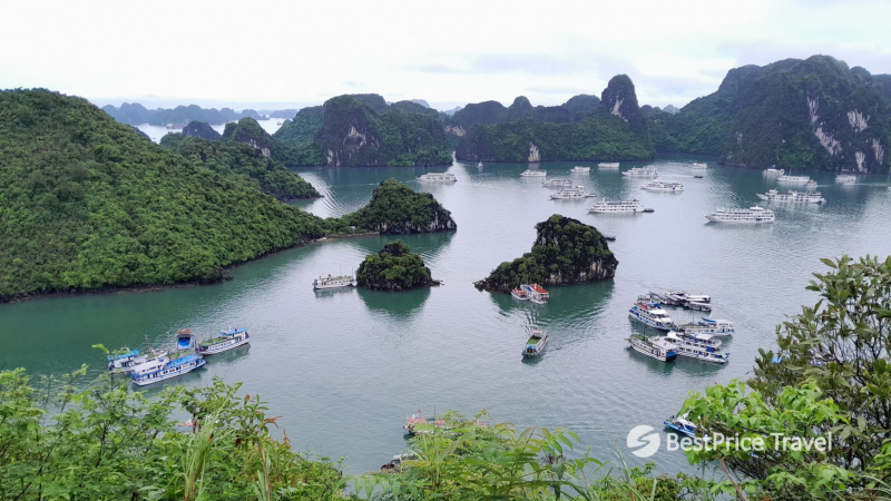 Day 5 Top View Of Halong Bay