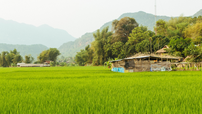 Day 3 Rustic Landscape Of Mai Chau