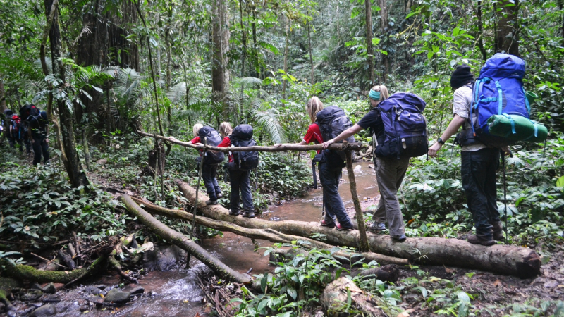 Day 4 Uncover The Exceptional Biodiversity Of The Nam Ha National Protected Area