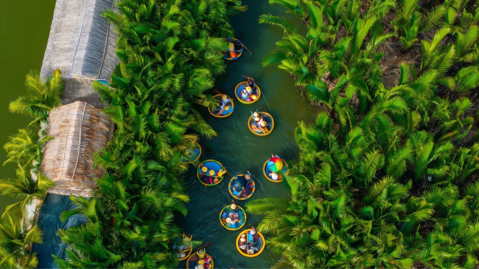 Boat ride through the Bay Mau coconut forest